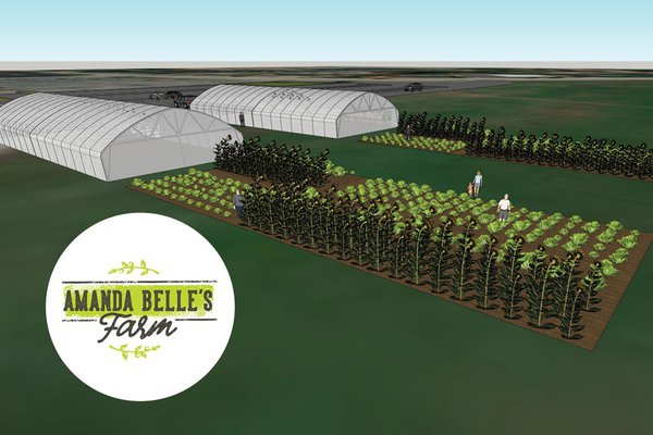 A rendering shows an image of Amanda Belle's Farm.