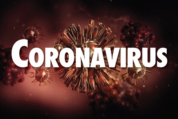 An image shows a picture of coronavirus.