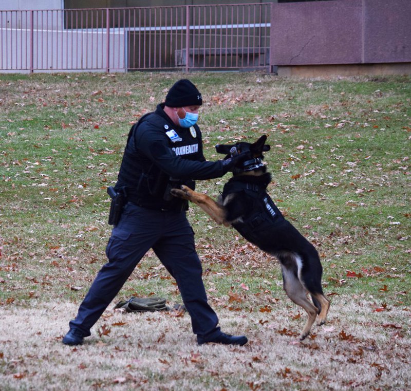 Security Dogs