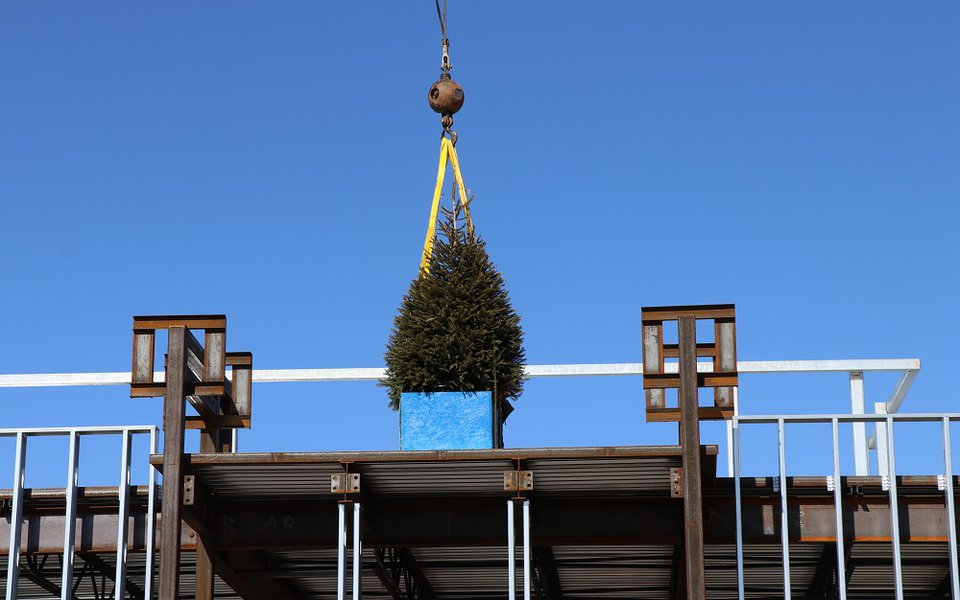A tree placed for the topping out ceremony