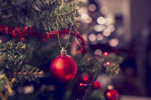 Christmas trees are tied with "knots" in honor and memory of cancer patients.