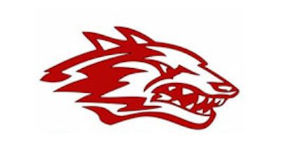 Reeds Spring schools' logo